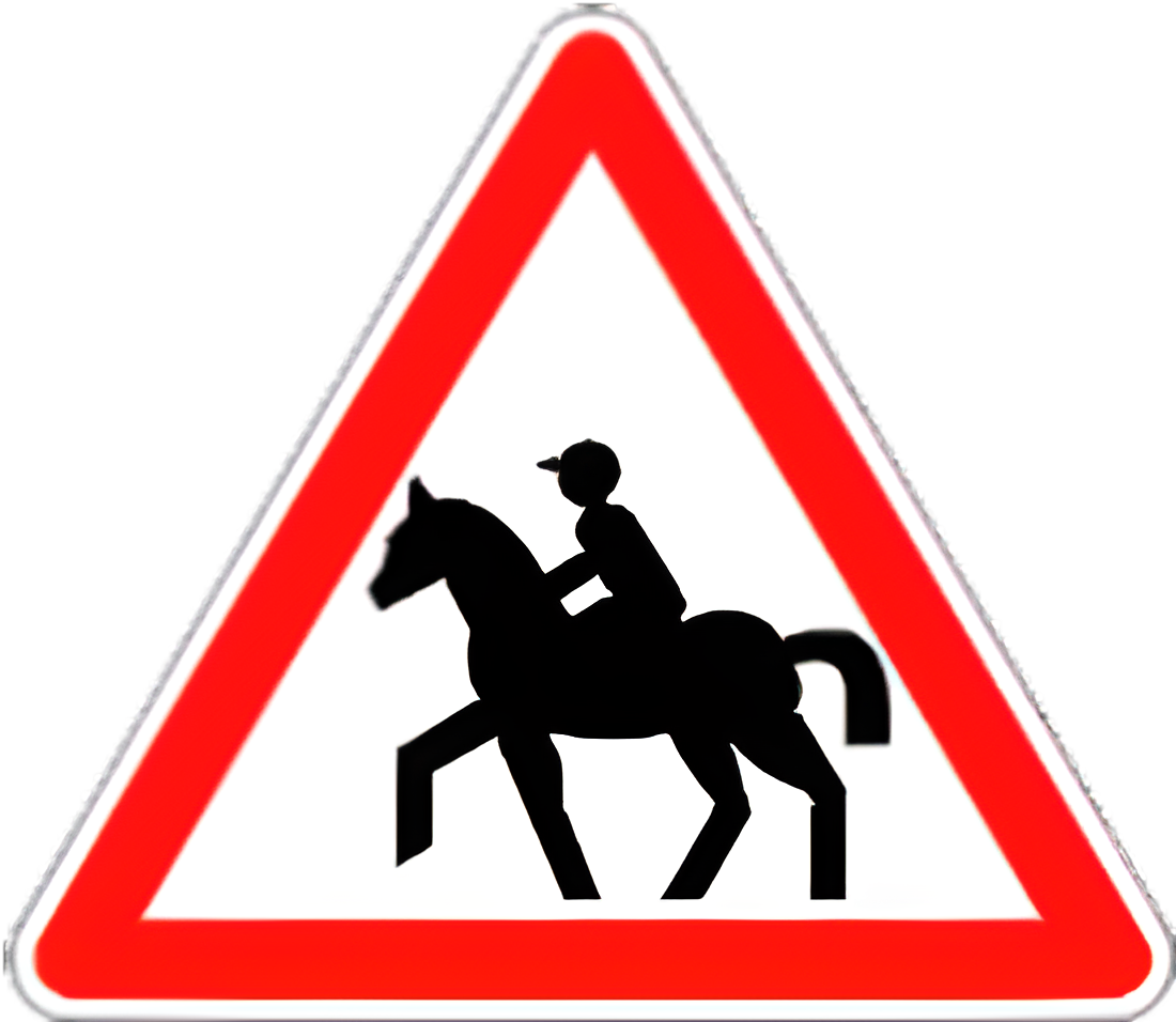 خطر مرور الفرسان